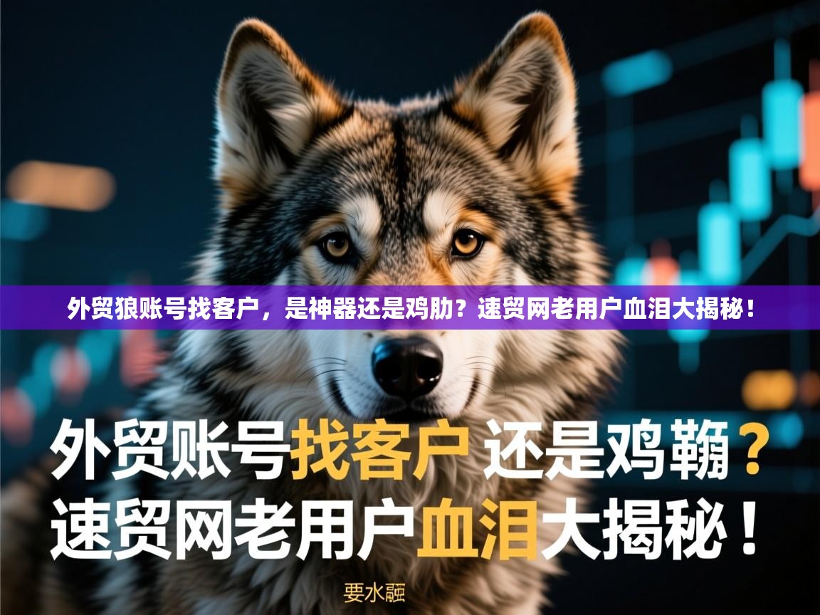 外贸狼账号找客户，是神器还是鸡肋？速贸网老用户血泪大揭秘！