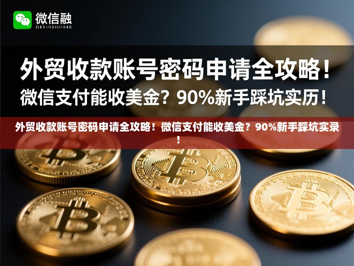 外贸收款账号密码申请全攻略！微信支付能收美金？90%新手踩坑实录！
