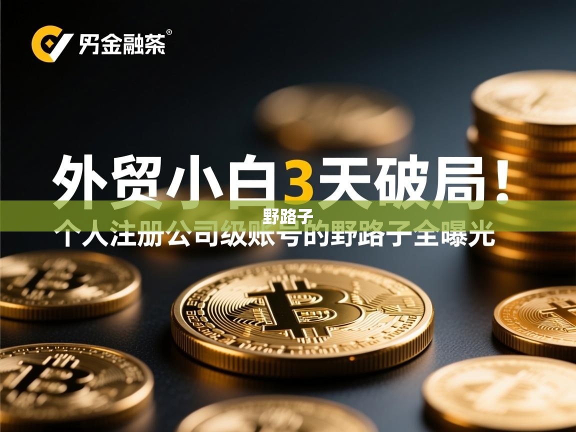 外贸小白3天破局！个人注册公司级账号的野路子全曝光